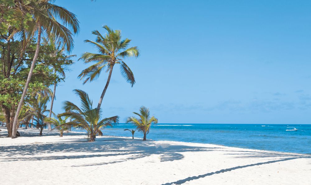 Amani Tiwi Beach Resort Prijs