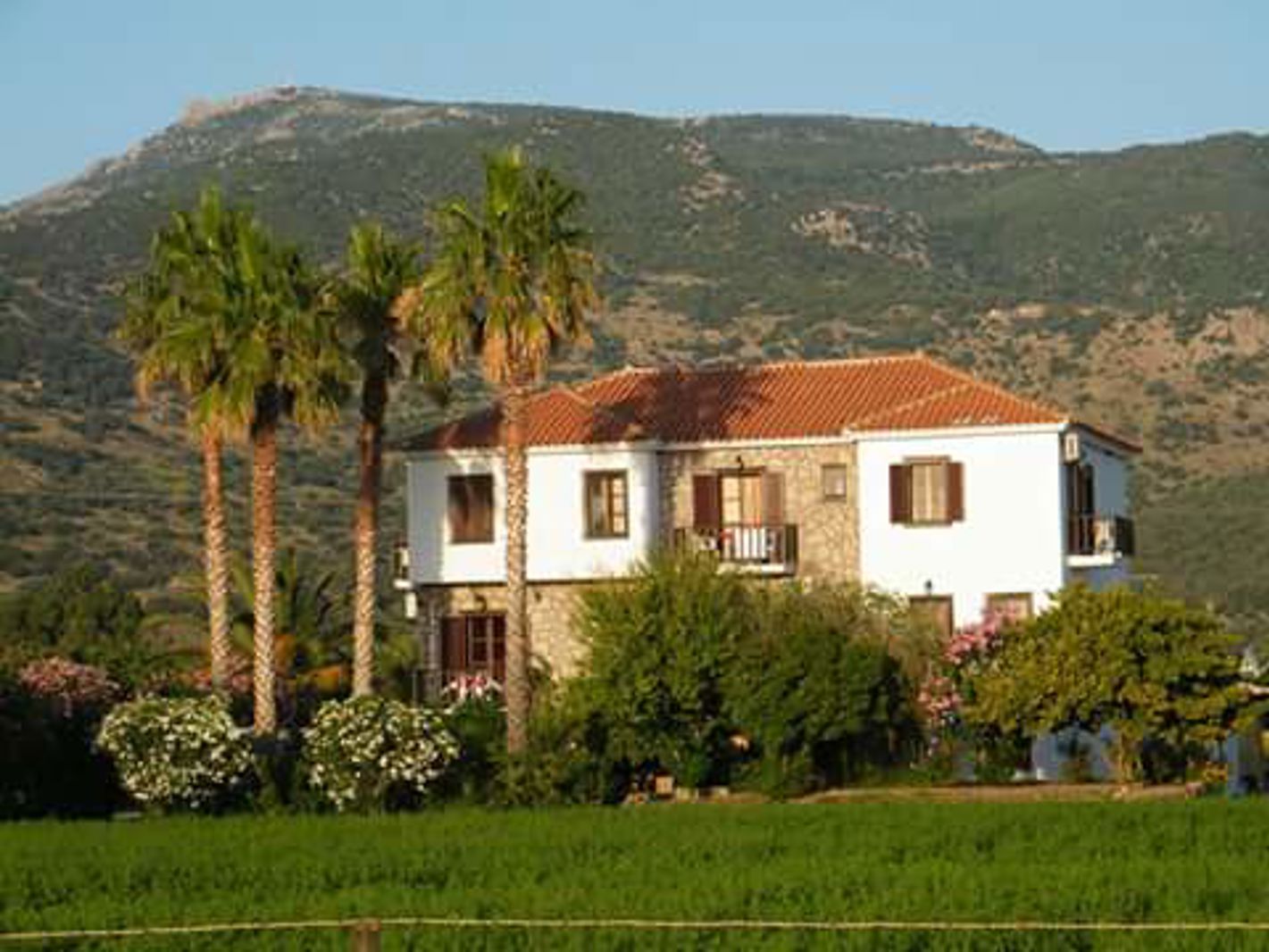 Island Appartementen, foto 1