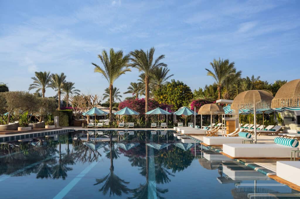 Desert Rose
