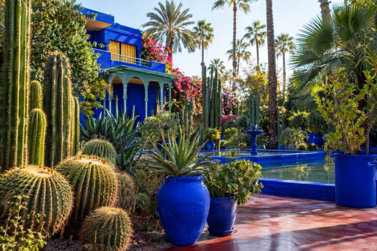 Cactussen en kobaltblauwe plantenbakken in de Jardin Majorelle in Marrakech